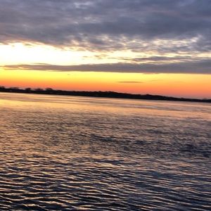 Meet your Posher, Terry